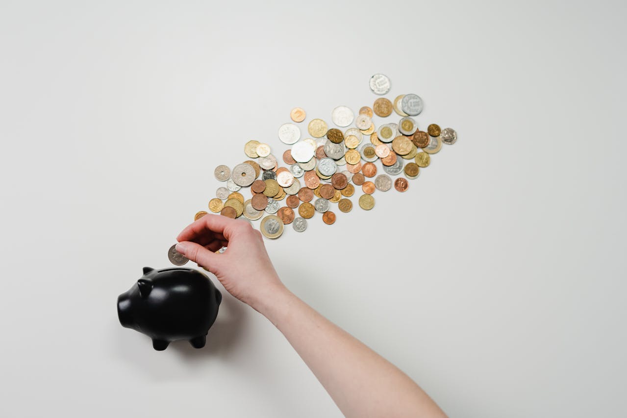 coins-lining-up-to-a-black-piggy-bank coins-lining-up-to-a-black-piggy-bank